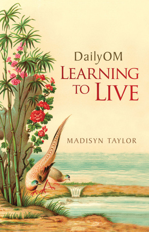 Cover image for book DailyOM: Learning to Live