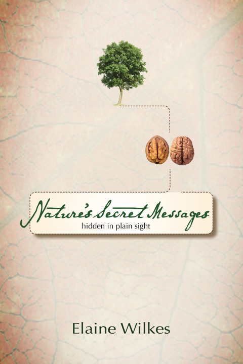 Cover image for book Nature's Secret Messages