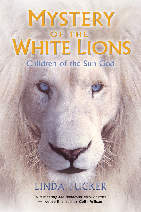 Cover image for book Mystery of the White Lions