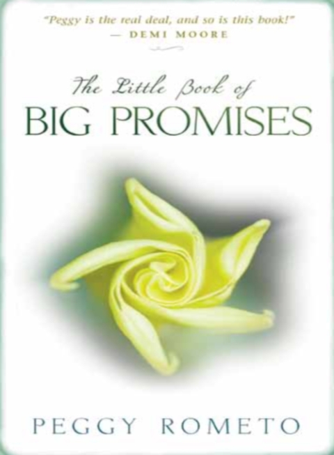 Cover image for book The Little Book of Big Promises