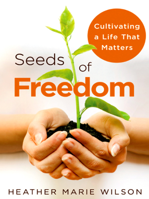 Cover image for book Seeds of Freedom