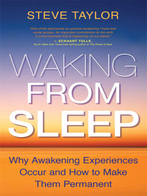 Cover image for book Waking From Sleep