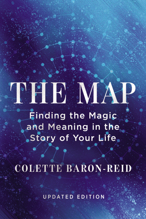 Cover image for book The Map