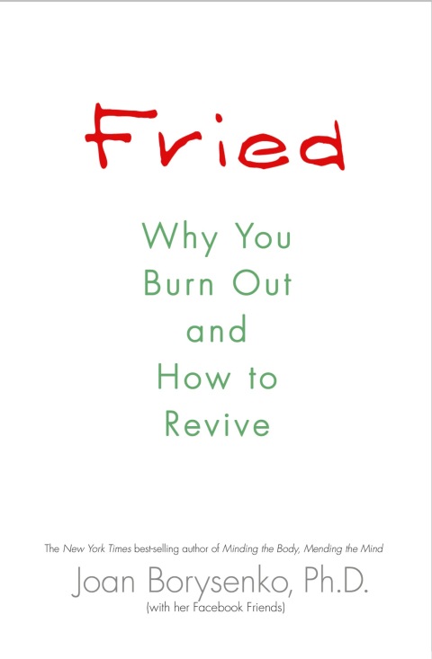 Cover image for book Fried