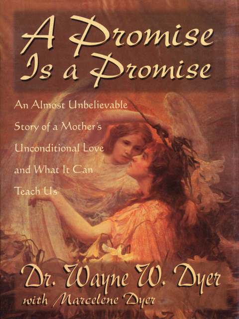 Cover image for book A Promise is a Promise