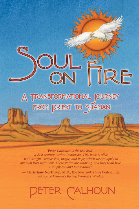 Cover image for book Soul on Fire