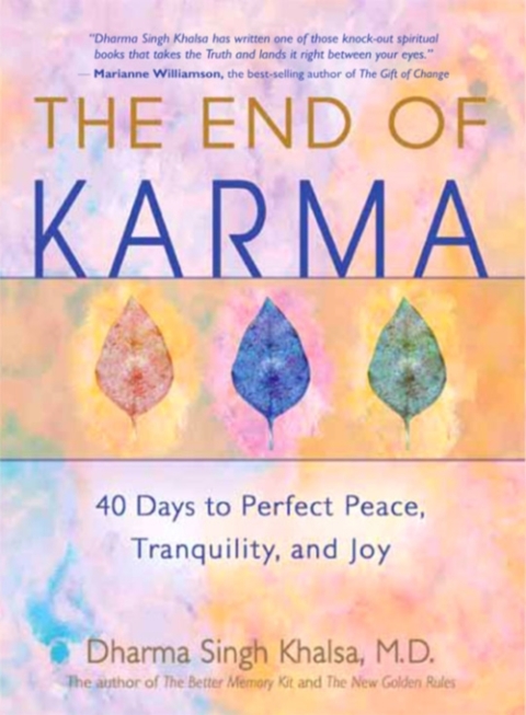 Cover image for book The End of Karma