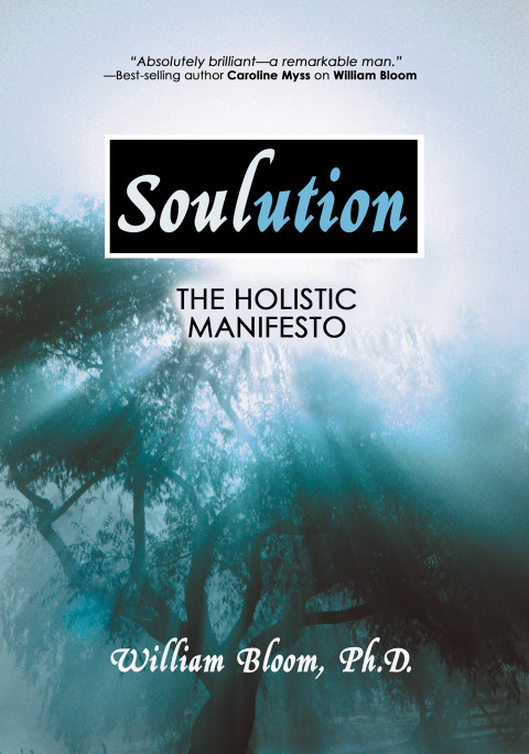 Cover image for book Soulution