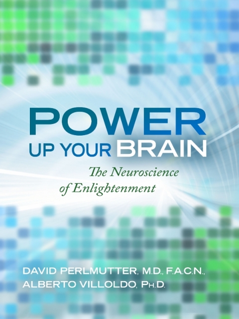Cover image for book Power Up Your Brain