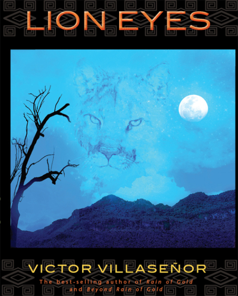 Cover image for book Lion Eyes