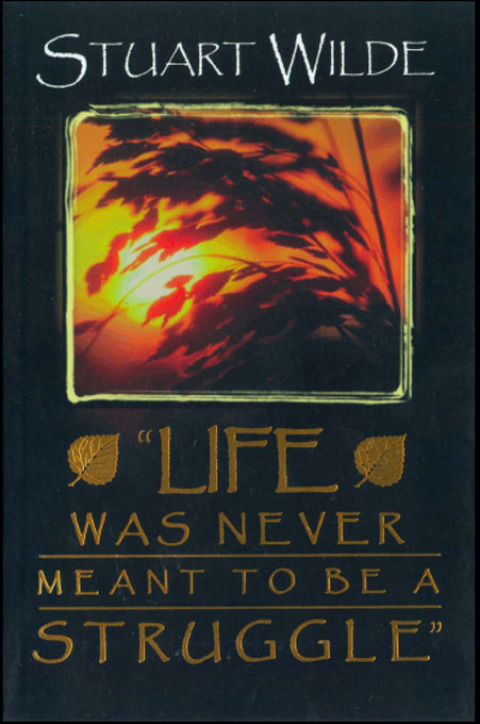 Cover image for book Life Was Never Meant to Be a Struggle