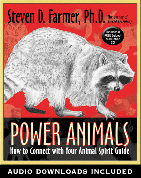 Cover image for book Power Animals