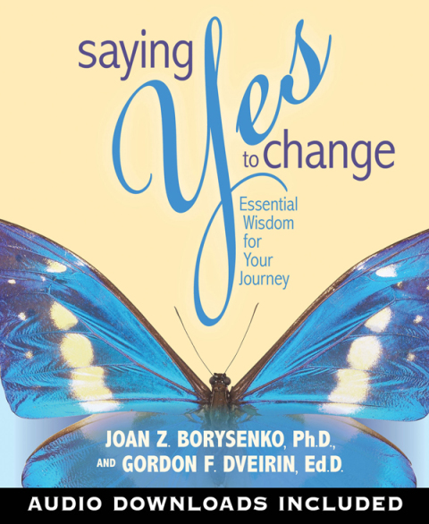 Cover image for book Saying Yes to Change