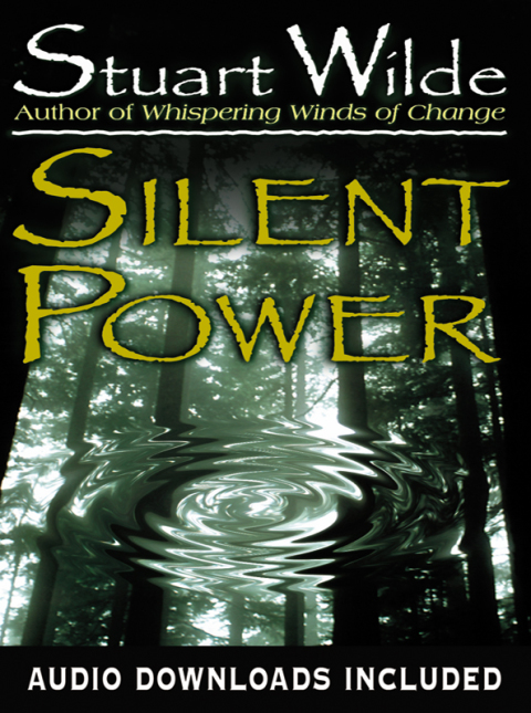 Cover image for book Silent Power