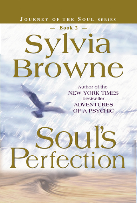 Cover image for book Soul's Perfection