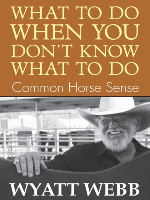 Cover image for book What To Do When You Don't Know What To Do