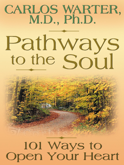 Cover image for book Pathways to the Soul