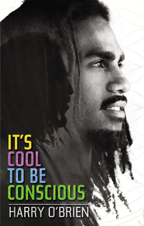 Cover image for book It's Cool to be Conscious