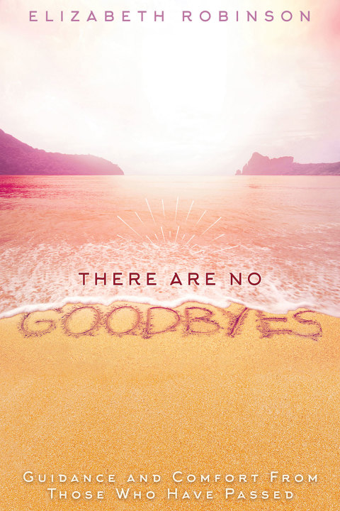 Cover image for book There Are No Goodbyes