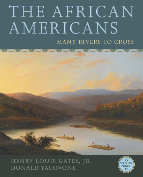 Cover image for book The African Americans