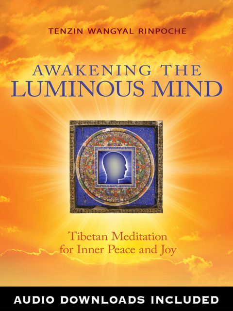 Cover image for book Awakening the Luminous Mind