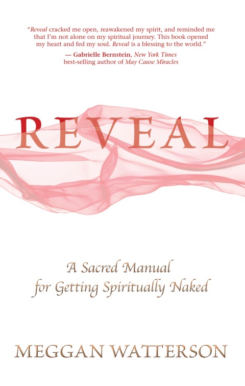 Cover image for book Reveal