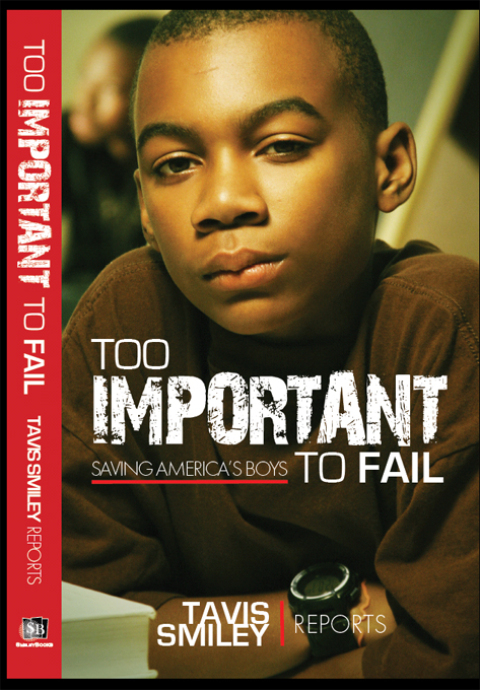 Cover image for book Too Important to Fail