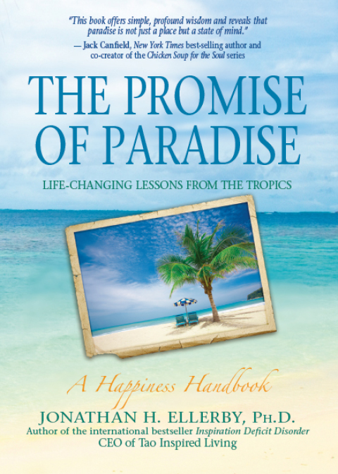 Cover image for book The Promise of Paradise