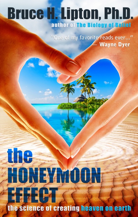 Cover image for book The Honeymoon Effect