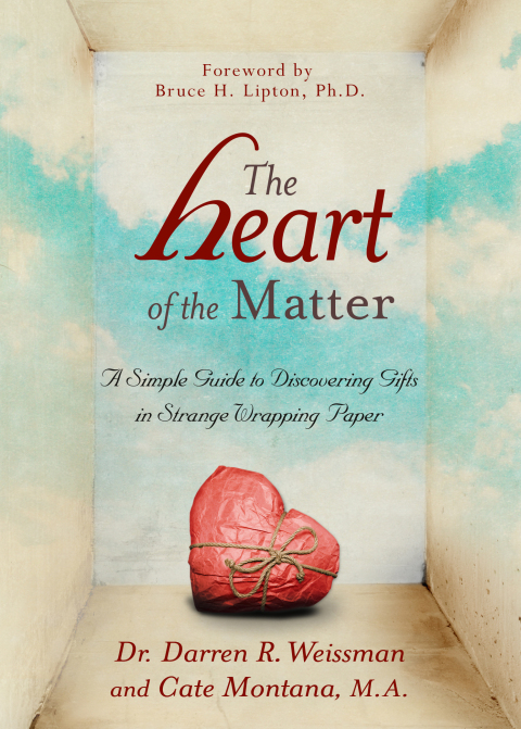 Cover image for book The Heart of the Matter