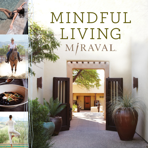 Cover image for book Mindful Living