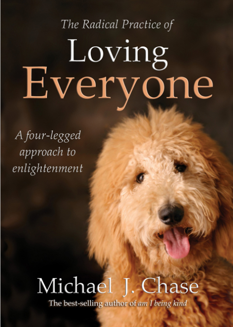 Cover image for book The Radical Practice of Loving Everyone