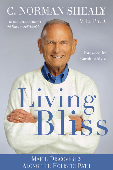 Cover image for book Living Bliss