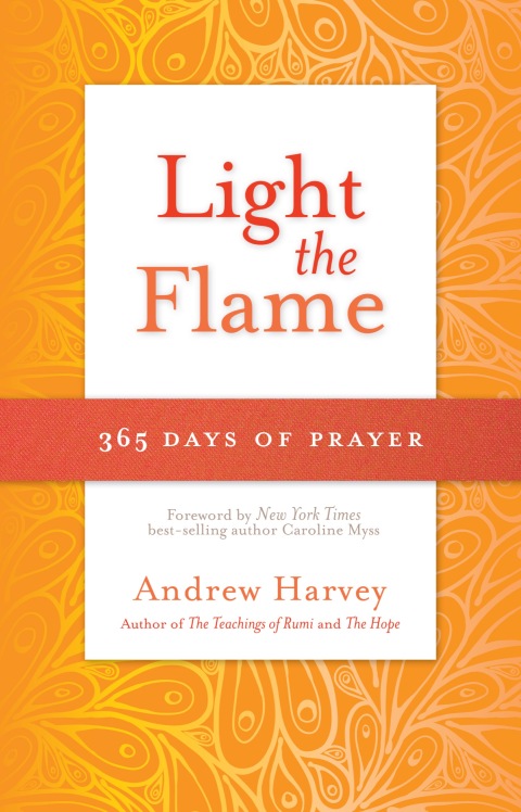 Cover image for book Light the Flame