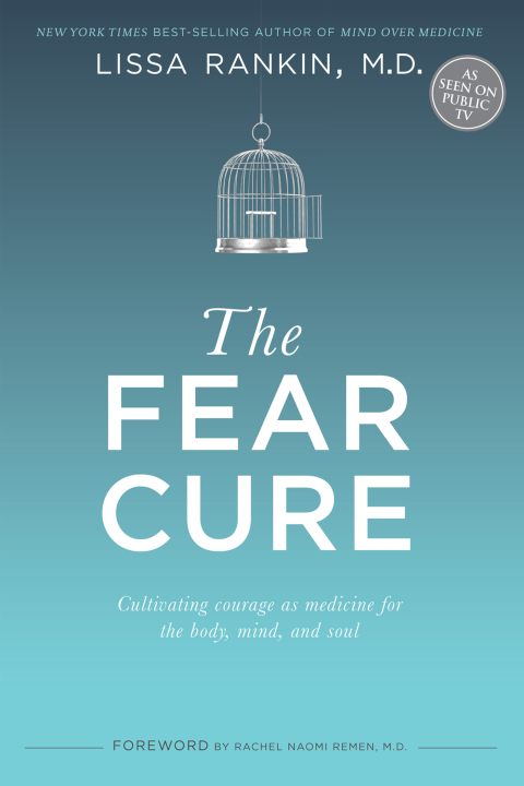 Cover image for book The Fear Cure