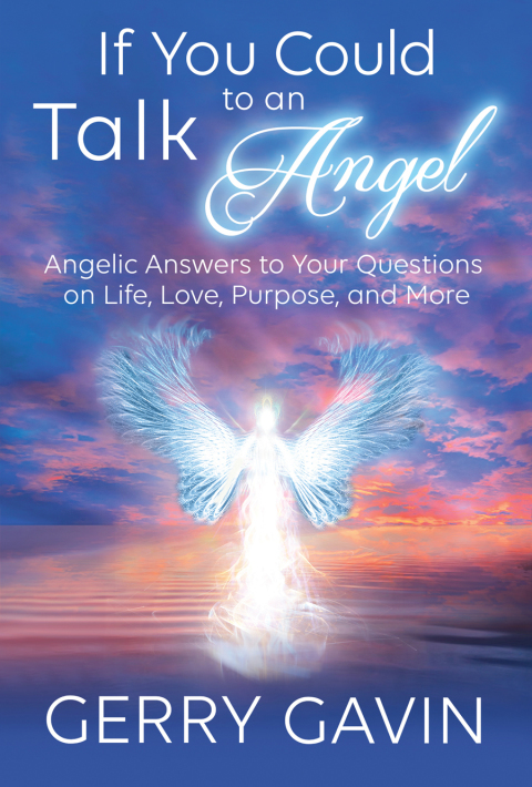 Cover image for book If You Could Talk to an Angel