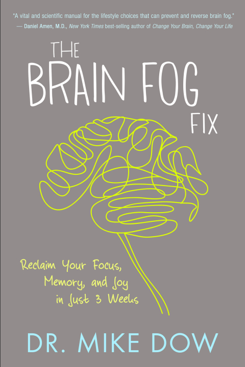 Cover image for book The Brain Fog Fix