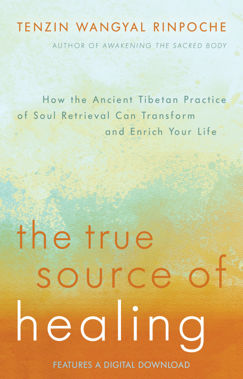 Cover image for book The True Source of Healing