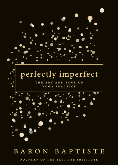 Cover image for book Perfectly Imperfect