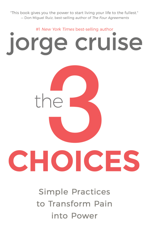 Cover image for book The 3 Choices