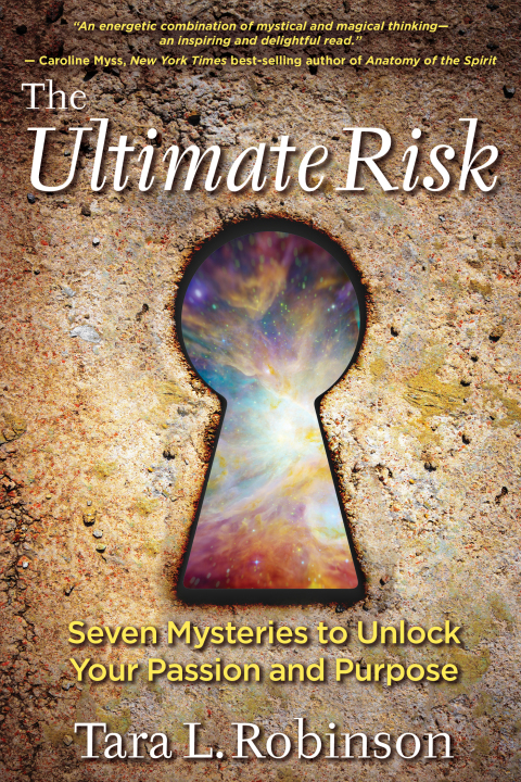 Cover image for book The Ultimate Risk