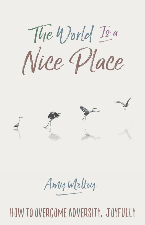 Cover image for book The World Is a Nice Place