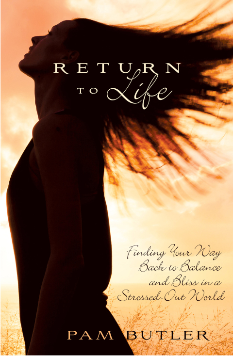 Cover image for book Return To Life