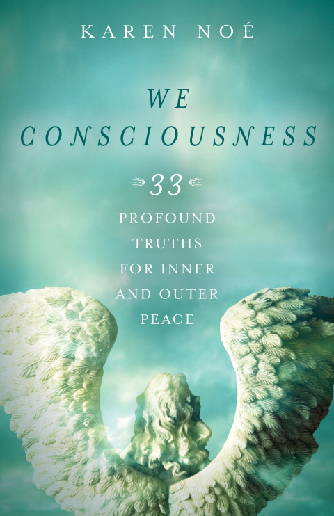 Cover image for book We Consciousness