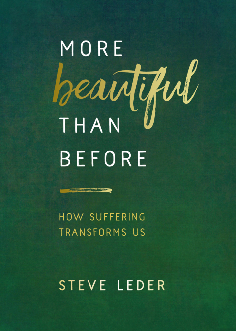 Cover image for book More Beautiful Than Before
