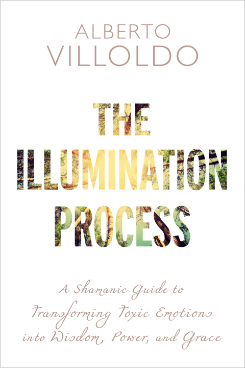 Cover image for book The Illumination Process