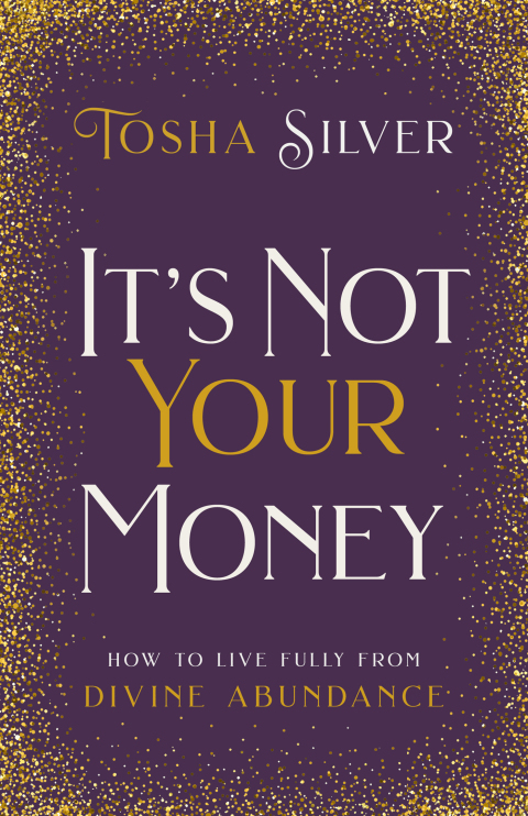 Cover image for book It's Not Your Money