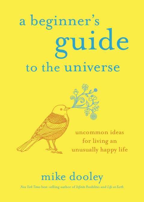 Cover image for book A Beginner's Guide to the Universe