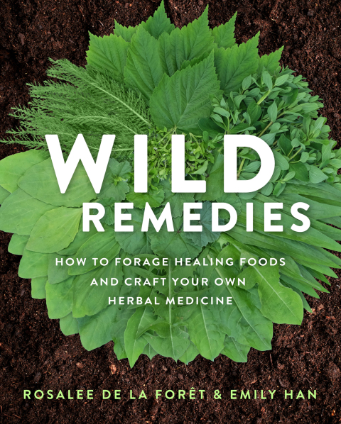 Cover image for book Wild Remedies