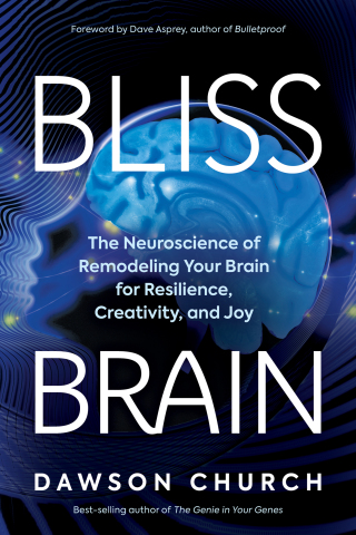 Bliss Brain